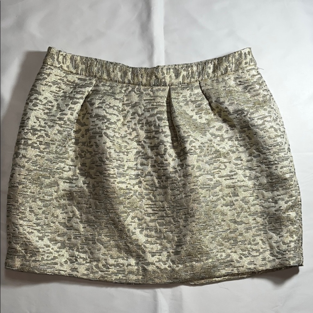 Elegant Cream and Gray Skirt